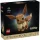 LEGO Pokémon Evoli