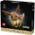 LEGO Pokémon Evoli